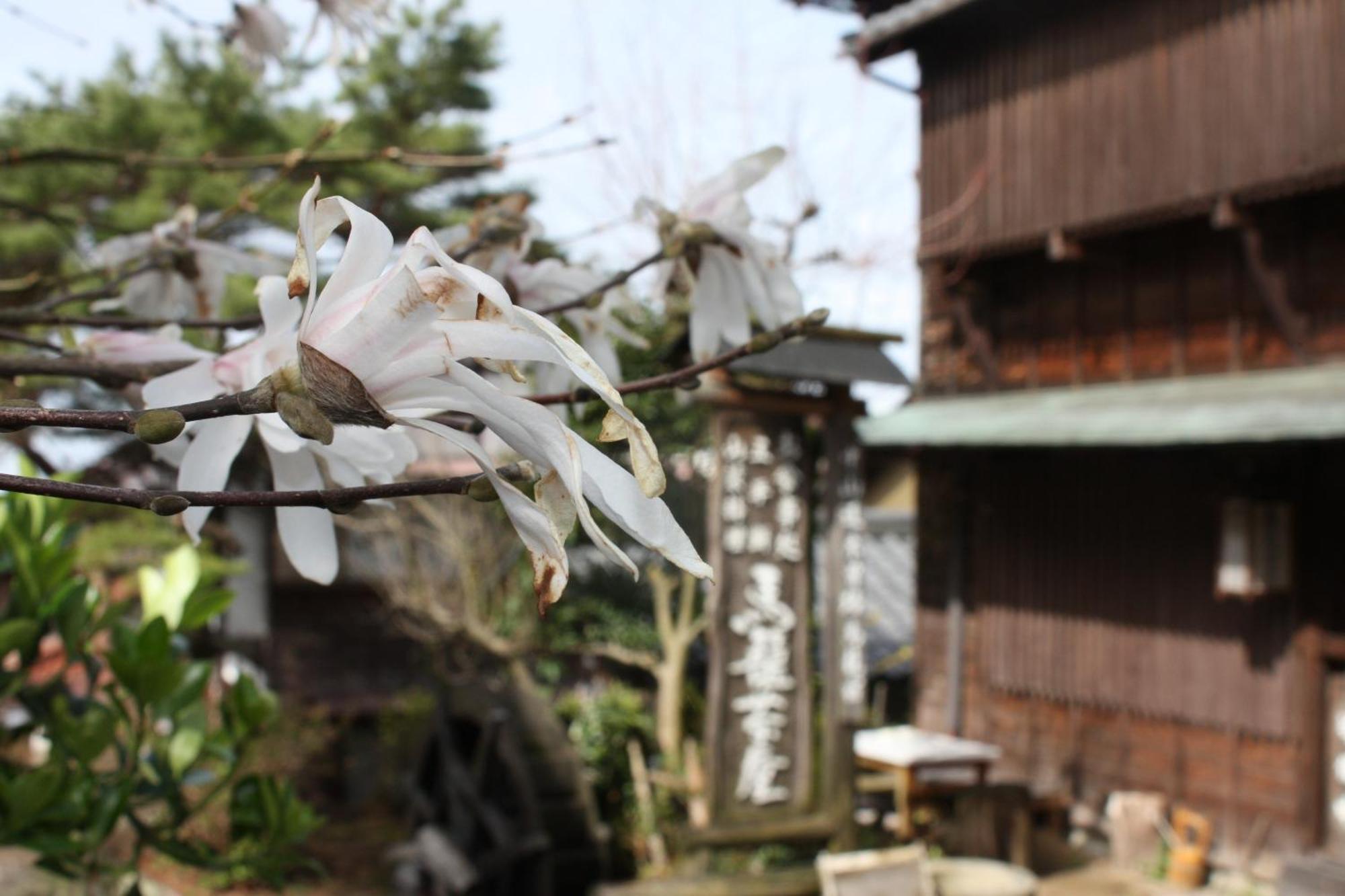 Hotel Magome Chaya Nakatsugawa Exterior foto